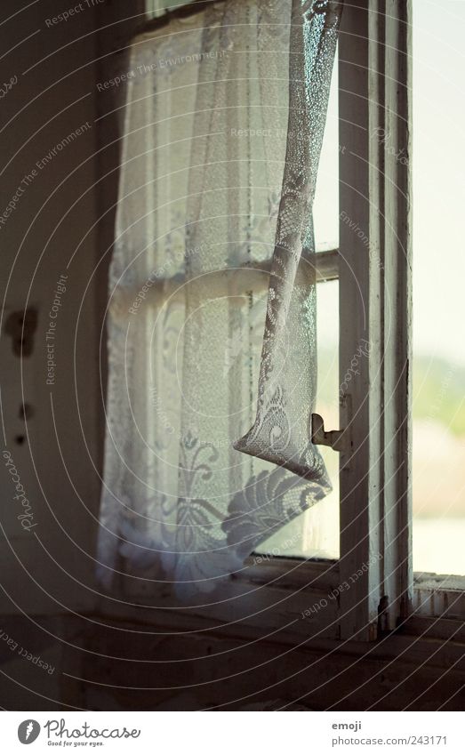 leichte Brise Dorf Haus Einfamilienhaus Fenster alt kalt Gardine Vorhang altmodisch veraltet altehrwürdig Farbfoto Innenaufnahme Detailaufnahme Menschenleer Tag