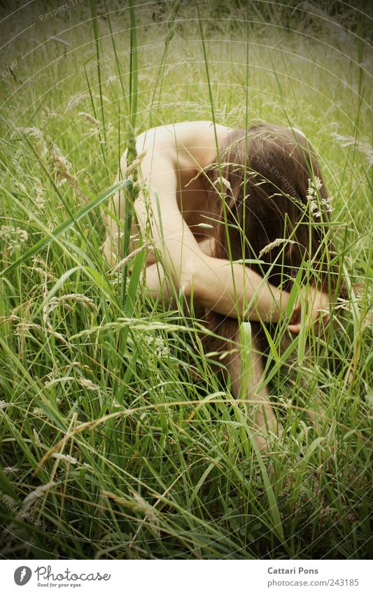 They miss ... maskulin Junger Mann Jugendliche Erwachsene 1 Mensch Natur Pflanze Gras Sträucher Wiese Feld brünett langhaarig hängen hocken träumen Traurigkeit