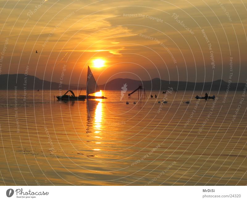 Abendstimmung am Balaton Plattensee Sonnenuntergang Abenddämmerung Segelboot Ungar Wasser