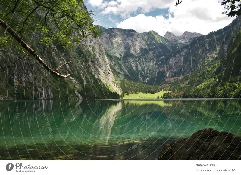 Landscape Königssee Natur Landschaft Pflanze Tier Wasser Himmel Wolken Sommer Schönes Wetter Hügel Felsen Alpen Berge u. Gebirge Gipfel See kalt blau braun grün