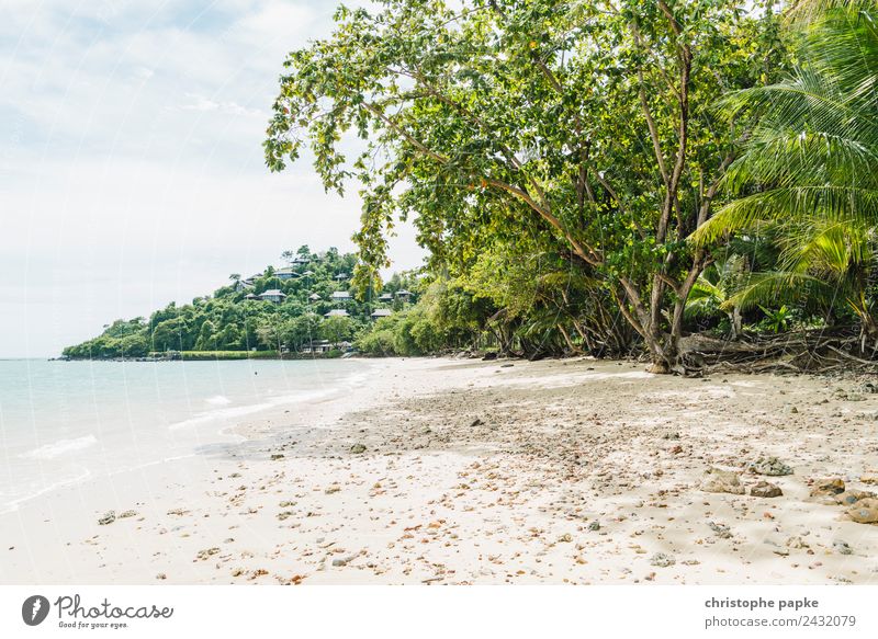 Strand in Thailand Ferien & Urlaub & Reisen Tourismus Ferne Sommer Sommerurlaub Sonne Meer Insel Wellen Natur Landschaft Himmel Schönes Wetter Pflanze Baum