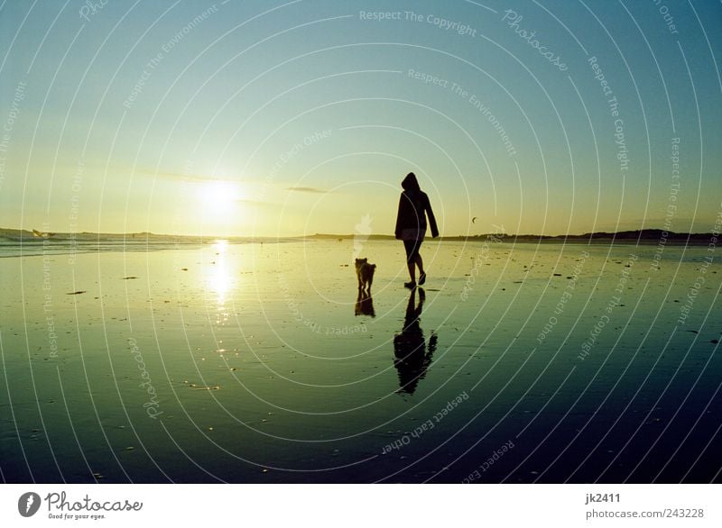 schon schön Erholung ruhig Ferien & Urlaub & Reisen Freiheit Sommer Sommerurlaub Strand Meer Mensch Frau Erwachsene Umwelt Natur Landschaft Sand Wasser Himmel