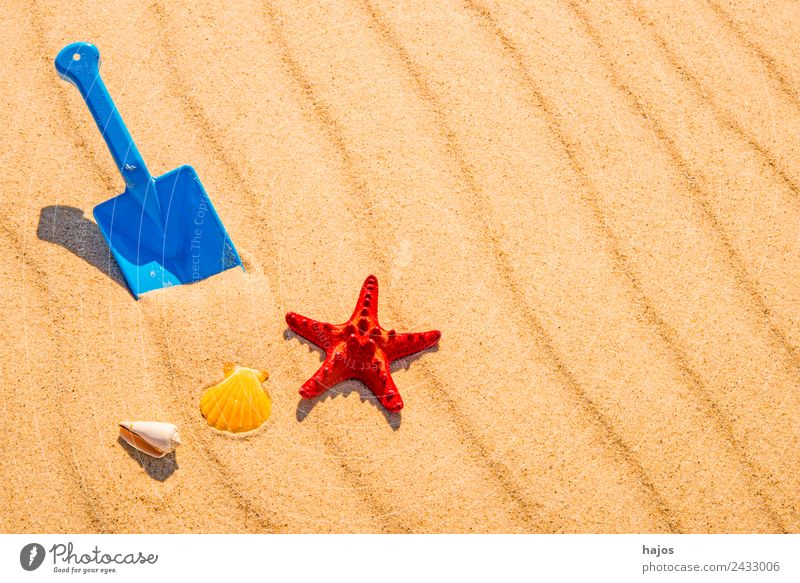 Schaufel und Seestern am Strand Freude Erholung Ferien & Urlaub & Reisen Sommer Sand Ostsee gelb Kindheit Tourismus blau Spielzeug sandeln spielen rot Muschel