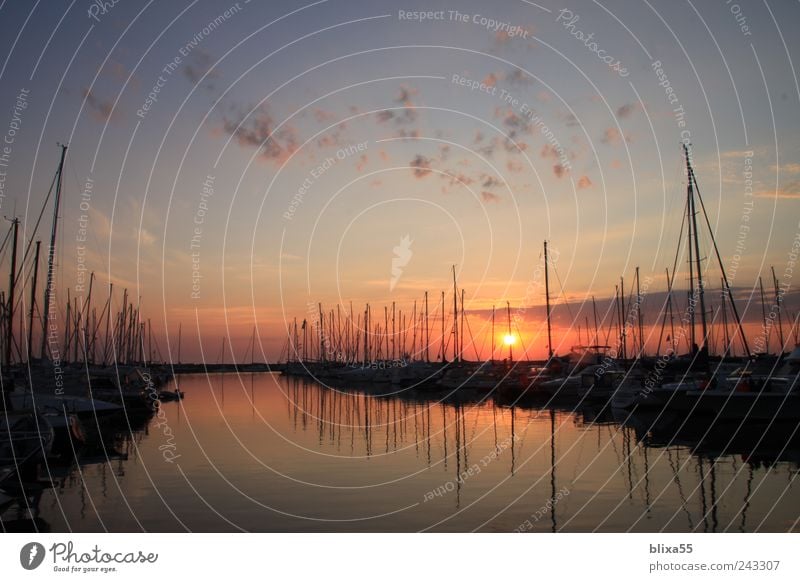 Jachthafen II Horizont Sonnenaufgang Sonnenuntergang Sommer Ostsee Kühlungsborn Deutschland Europa Kleinstadt Menschenleer Hafen Segelboot gold ruhig Fernweh