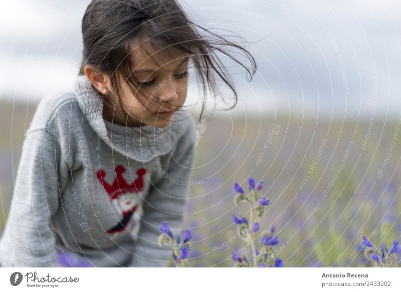 Blumen Mensch Kind Mädchen Kindheit 3-8 Jahre Gras Park brünett niedlich Gelassenheit riechend Frühling 5s 5 Jahre alt eine Feld Geruch Spanisch dunkelhaarig