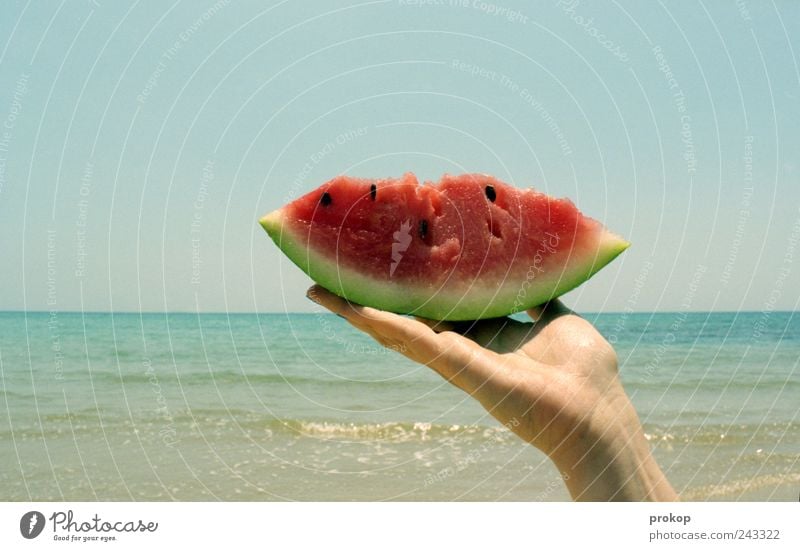 Melone auf Fischfang Lebensmittel Frucht Melonen Ernährung Bioprodukte Umwelt Natur Landschaft Wasser Himmel Wolkenloser Himmel Horizont Sommer Schönes Wetter