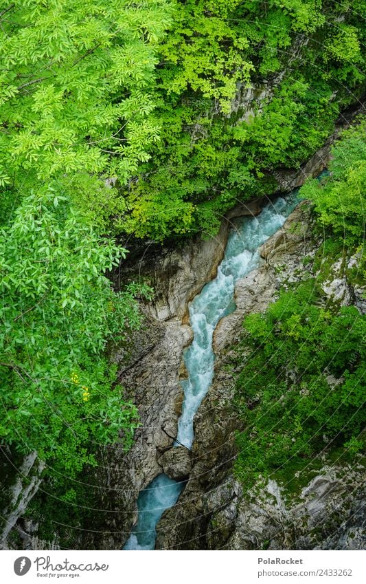 #S# Wildwasser Klamm Umwelt Natur bedrohlich grün Pflanze Naturschutzgebiet Naturphänomene Wasser Stein Felsenschlucht klemmen reißend eng Wege & Pfade steinig