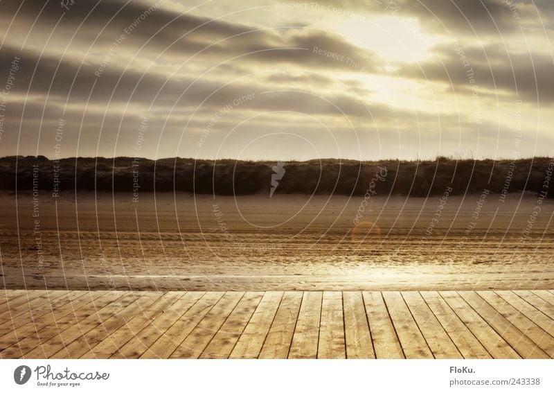 the golden Path Ferien & Urlaub & Reisen Ausflug Strand Umwelt Natur Himmel Wolken Sonne Sonnenaufgang Sonnenuntergang Küste Nordsee leuchten glänzend hell nass