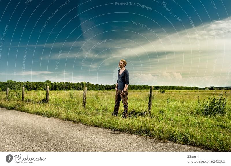 hoffnung Lifestyle Stil Mensch Junger Mann Jugendliche 1 18-30 Jahre Erwachsene Natur Landschaft Himmel Sommer Wiese blond kurzhaarig stehen träumen ästhetisch