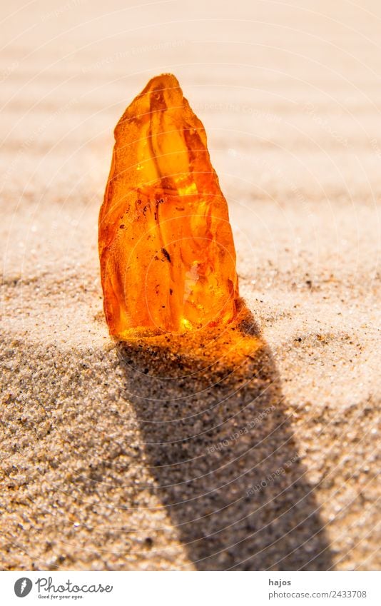 Bernstein am Ostseestrand Saft Strand Natur Sand authentisch gelb Edelstein Baumharz alt leuchten strahlend mystisch hell Steinheilkunde Hildegard von Bingen