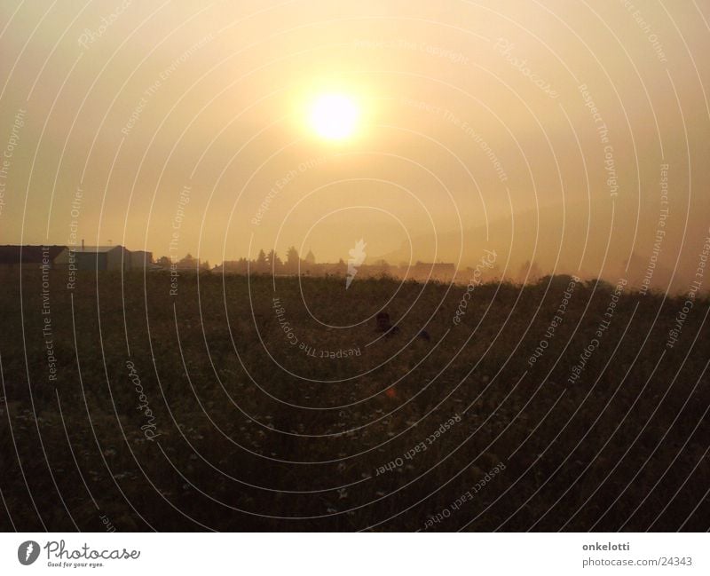 Morgens halb 6 in Deutschland Dämmerung Wiese Nebel Morgendämmerung Himmel