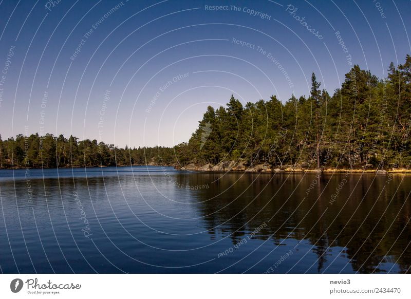 Bewaldetes Seeufer im Süden von Schweden Umwelt Natur Landschaft Wasser Wolkenloser Himmel Frühling Sommer Baum Wald Küste Bucht Insel Schwimmen & Baden schön