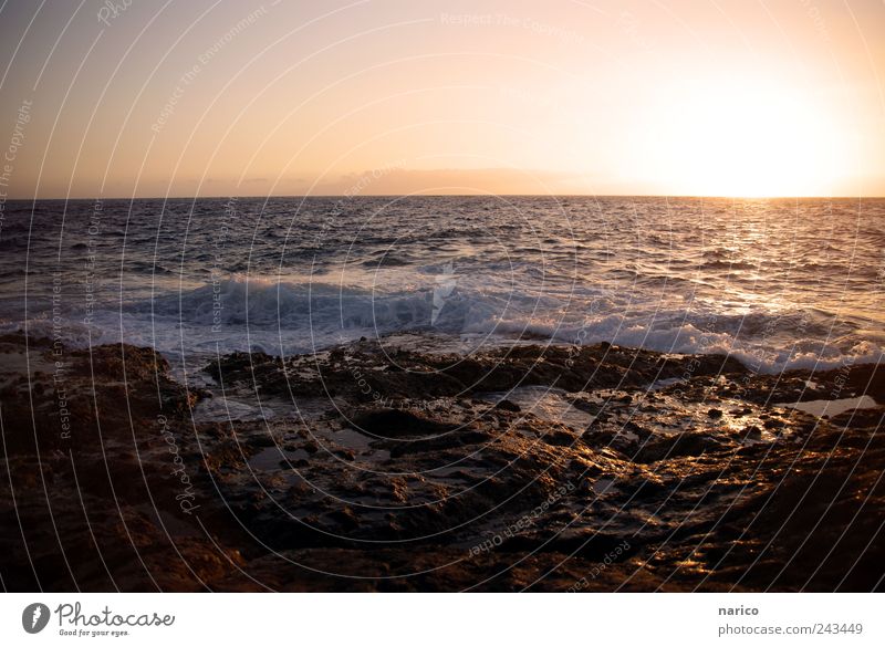 tenerife sunset Umwelt Natur Landschaft Urelemente Erde Luft Wasser Wolkenloser Himmel Horizont Sonnenaufgang Sonnenuntergang Sonnenlicht Sommer Wetter