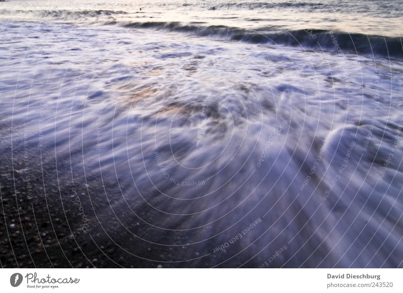 Bewegtes Meer Wasser Wellen Strand blau Meerwasser Kieselstrand fließen Schaum Wellengang Bewegung violett Farbfoto Außenaufnahme Menschenleer Tag Abend