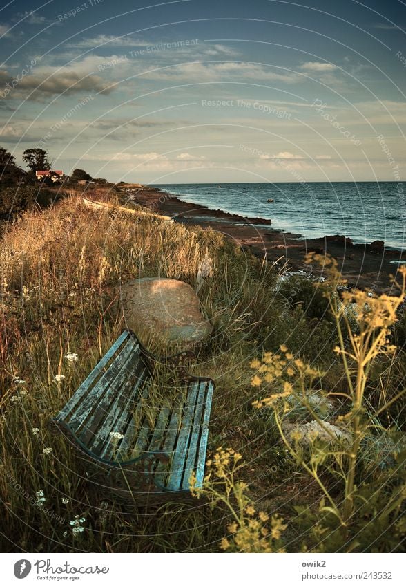 Strandgut Ferien & Urlaub & Reisen Ferne Freiheit Bank Umwelt Natur Landschaft Pflanze Luft Wasser Himmel Wolken Horizont Klima Schönes Wetter Sträucher Wellen