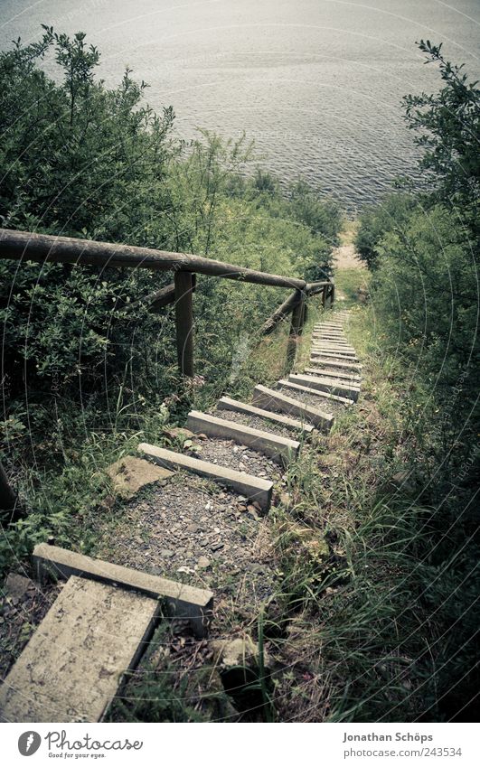 Treppe zum See II Umwelt Natur Landschaft Wasser Pflanze Gras Sträucher Park Wald Hügel Küste Seeufer Flussufer Insel Teich blau braun grün Abstieg unten