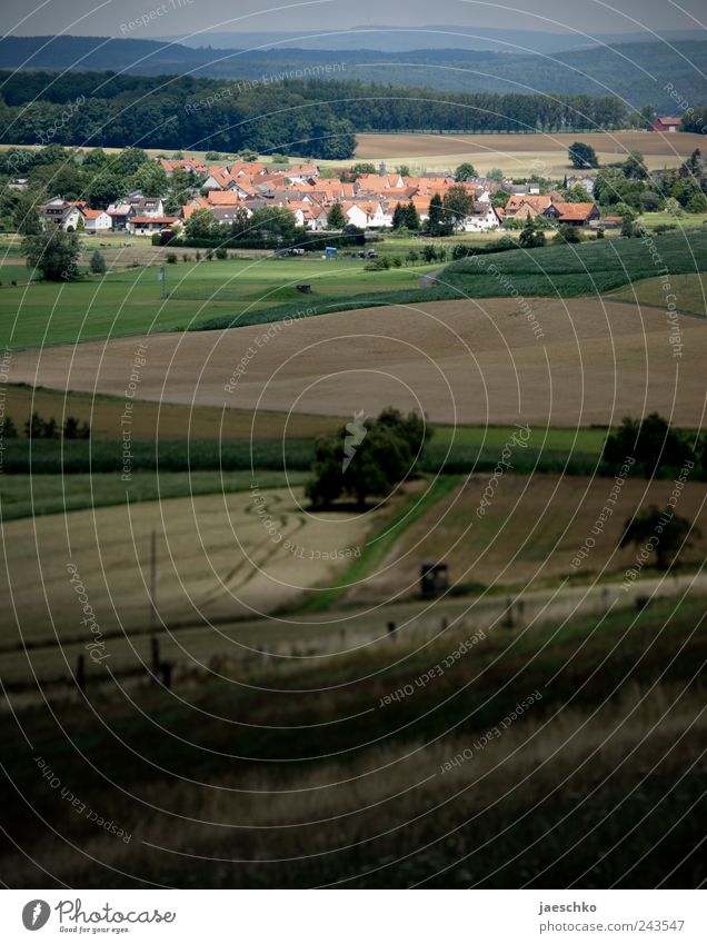 Sonnenseite Landschaft Wiese Feld Wald Hügel Diebach am Haag Deutschland Hessen Dorf Umwelt Aussicht Wohnsiedlung Idylle Dach hell dunkel Lichtpunkt abgelegen