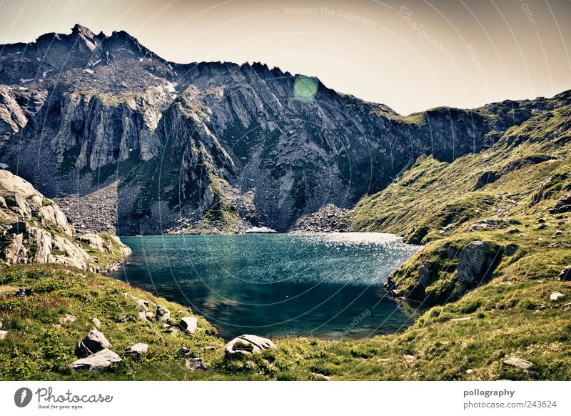 elements Umwelt Natur Landschaft Urelemente Erde Luft Wasser Wolkenloser Himmel Sommer Schönes Wetter Gras Alpen Berge u. Gebirge Gipfel Seeufer Stein