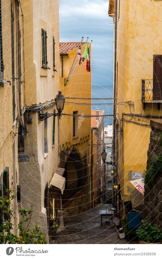 Sardinien, Stadt am Meer, Gasse Ferien & Urlaub & Reisen Ferne Sightseeing Sommer Gastronomie Castelsardo Italien Kleinstadt Hafenstadt Stadtzentrum Altstadt