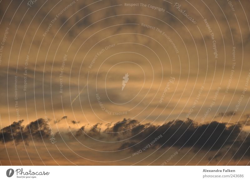 Abendhimmel I Umwelt Luft Himmel Wolken Sonnenaufgang Sonnenuntergang Klima dunkel unheimlich Licht Farbfoto Gedeckte Farben Außenaufnahme Menschenleer