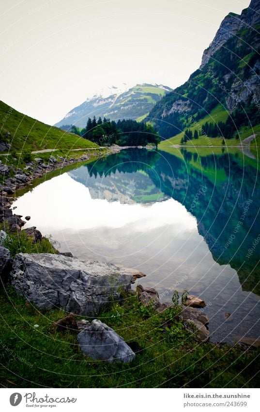 der schatz im silbersee Erholung Ausflug Umwelt Natur Landschaft Urelemente Wasser Himmel Wolken Frühling Sommer Baum Gras Sträucher Hügel Felsen Alpen