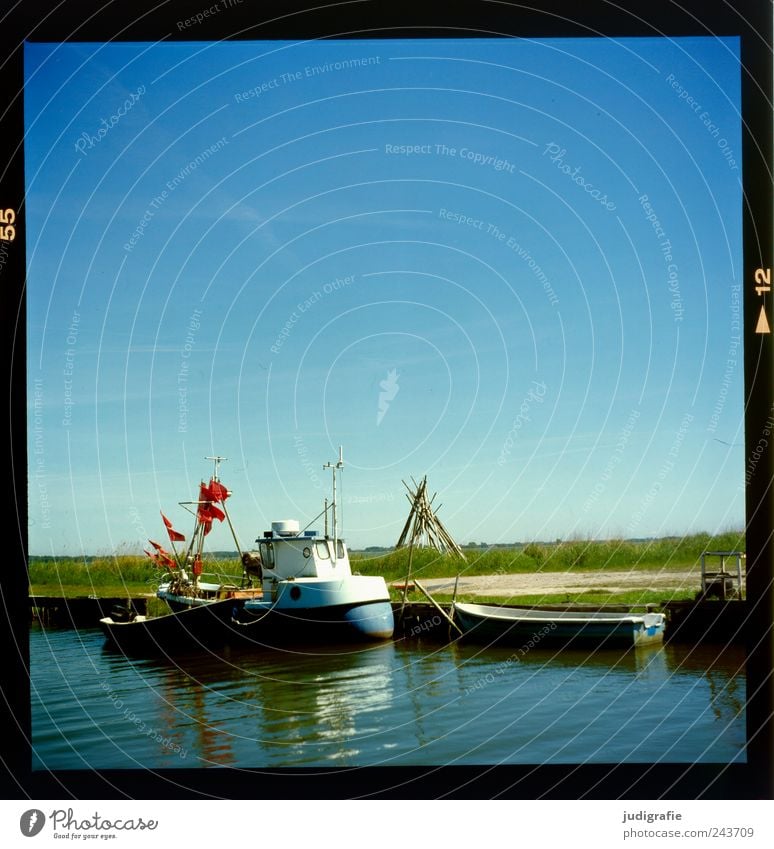 Kleiner Hafen Natur Landschaft Wasser Himmel Wolkenloser Himmel Sommer Schönes Wetter Küste Seeufer Vorpommersche Boddenlandschaft Bootsfahrt Fischerboot