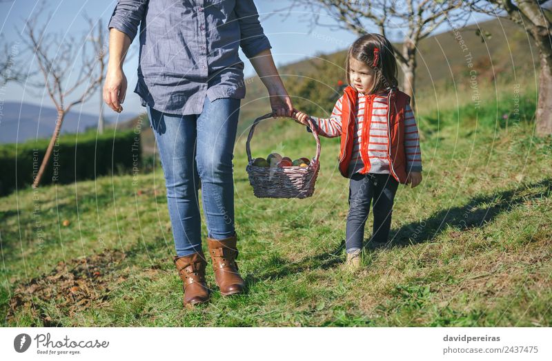 Kleines Mädchen und Frau tragen einen Korb mit Äpfeln. Frucht Apfel Lifestyle Freude Glück schön Freizeit & Hobby Garten Mensch Erwachsene Mutter Hand Natur