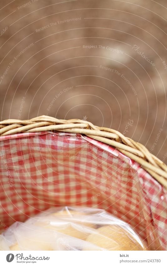 in der Tüte sind die Brötchen... Picknick Ferien & Urlaub & Reisen Häusliches Leben Essen Feste & Feiern Valentinstag Muttertag Ostern Hochzeit Geburtstag