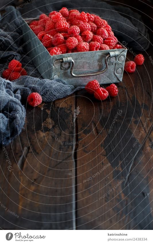 Frische Himbeeren in einer Metalldose Frucht Dessert Ernährung Frühstück Vegetarische Ernährung Diät Sommer dunkel frisch natürlich rosa rot Hintergrund Beeren