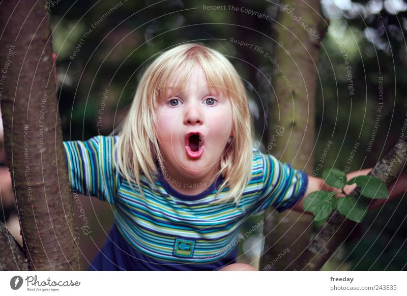 Du bekommst ne Schwester! "NOOOOOO" Kindererziehung Kindergarten Mädchen Kindheit Leben Gesicht Mund Lippen 1 Mensch 3-8 Jahre Natur Baum Blatt Grünpflanze