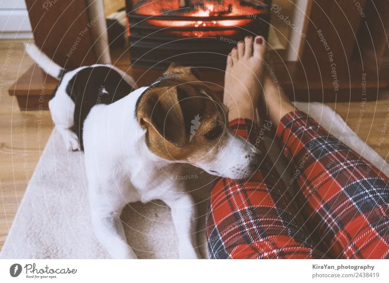 Weibliche Füße und süßer Hund im Kamin vor dem Kamin Glück Pediküre Erholung Winter Frau Erwachsene Freundschaft Paar Fuß Wärme Haustier sitzen klein lustig