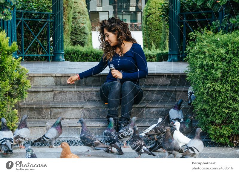 Schöne lächelnde Frau, die Tauben im Park füttert. Lifestyle Freude Glück schön Sommer Mensch Erwachsene Arme Hand Natur Tier Straße Mode Vogel füttern Lächeln