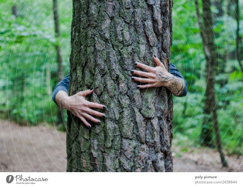 [AM104] - Hände einer jungen Dame umschlingen einen Baum Lifestyle Erholung Meditation Ferien & Urlaub & Reisen wandern feminin Junge Frau Jugendliche Leben