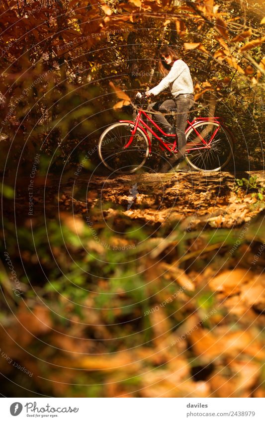 Frau auf dem Fahrrad im Wald Lifestyle Glück Ferien & Urlaub & Reisen Ausflug Garten Sport Mensch Junger Mann Jugendliche Erwachsene 1 18-30 Jahre Natur Baum