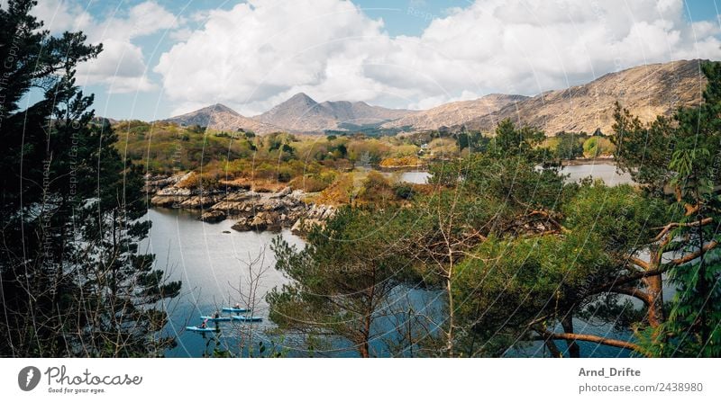 Bucht von Garinish Island Ferien & Urlaub & Reisen Ausflug Abenteuer Sommer Sommerurlaub Paddeln Kanu Kajak 3 Mensch Natur Landschaft Himmel Wolken Frühling