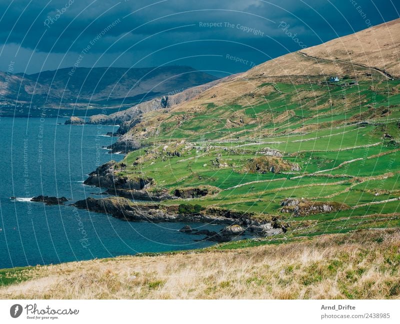 Küste Irland Ferien & Urlaub & Reisen Tourismus Ausflug Abenteuer Freiheit Sightseeing Natur Landschaft Himmel Wolken schlechtes Wetter Regen Wiese Feld Hügel