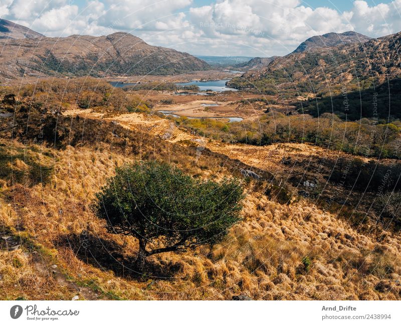 Ladies View - Irland Ferien & Urlaub & Reisen Tourismus Ausflug Ferne Freiheit Sightseeing Landschaft Himmel Wolken Frühling Sommer Baum Gras Sträucher Feld