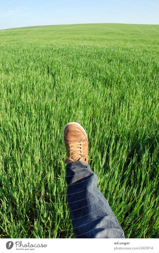 nach Insgrün Landwirtschaft Forstwirtschaft Energiewirtschaft Beine Fuß Natur Landschaft Klima Klimawandel Wind Gras Feld Fußspur Freundlichkeit nachhaltig