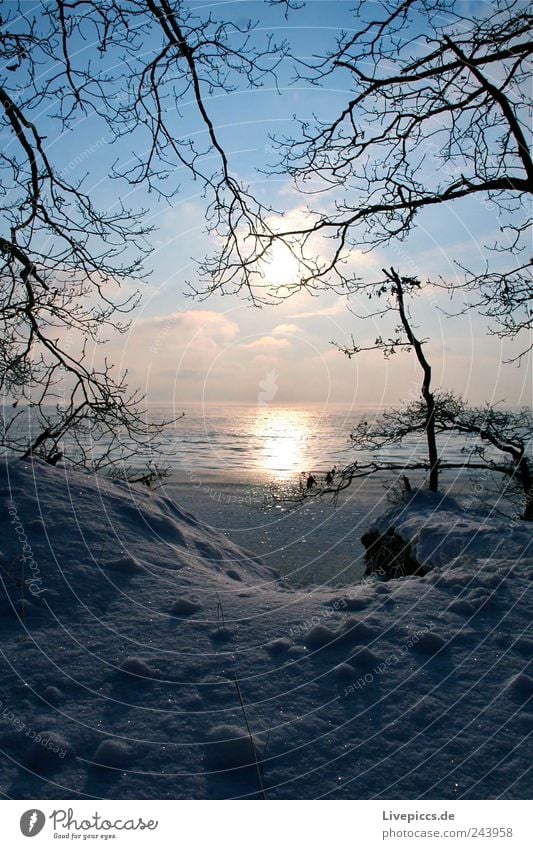 Boddenstille Umwelt Natur Landschaft Wasser Himmel Wolken Sonnenlicht Winter Schönes Wetter Eis Frost Küste Seeufer Strand kalt Farbfoto Außenaufnahme