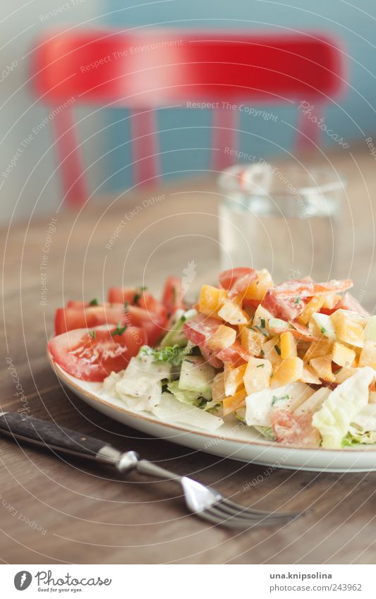 mittagessen Lebensmittel Salat Salatbeilage Kräuter & Gewürze Öl Ernährung Mittagessen Abendessen Büffet Brunch Bioprodukte Vegetarische Ernährung Diät Geschirr