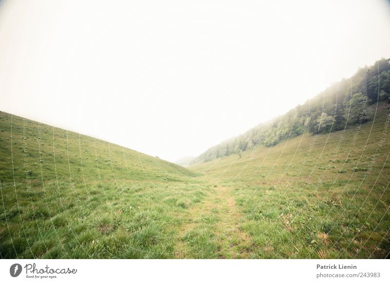 Fade And Then Return Freizeit & Hobby Freiheit Berge u. Gebirge wandern Umwelt Natur Landschaft Urelemente Wolken Klima Wetter schlechtes Wetter Wind Nebel Baum