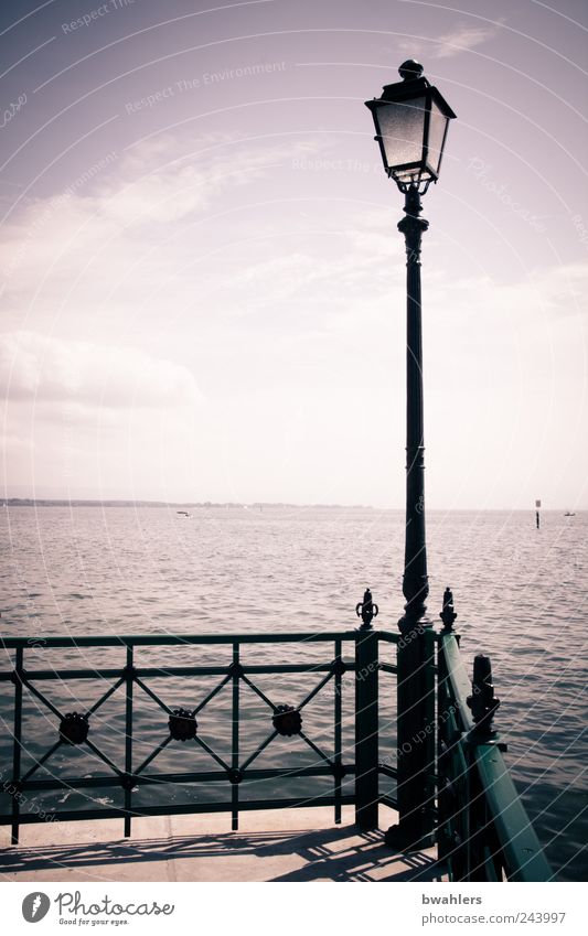 See - Sehnsucht Ferien & Urlaub & Reisen Ausflug Sommer Natur Landschaft Wasser Himmel Horizont Sonnenlicht Schönes Wetter Küste Seeufer Bodensee Park Terrasse