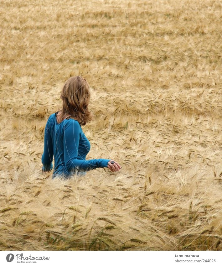 Junge Frau im Gerstenfeld Mensch feminin Jugendliche Rücken Oberkörper 1 18-30 Jahre Erwachsene Umwelt Sommer Schönes Wetter Nutzpflanze Getreide Feld