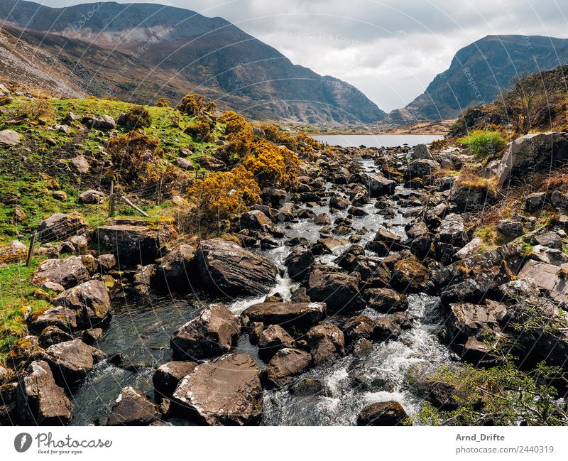 Irland - Gap of Dunloe Ferien & Urlaub & Reisen Tourismus Ausflug Freiheit Sightseeing Natur Landschaft Wasser Himmel Wolken Frühling Sommer Wiese Hügel Felsen