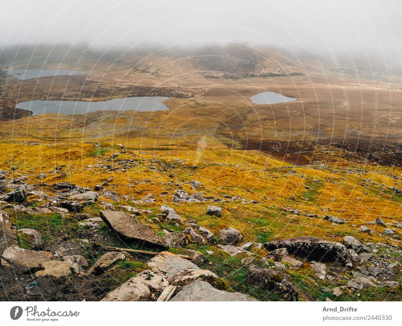 Connor Pass - Irland Ferien & Urlaub & Reisen Ausflug Abenteuer Natur Landschaft Pflanze Wolken schlechtes Wetter Nebel Hügel Felsen Berge u. Gebirge See Tal