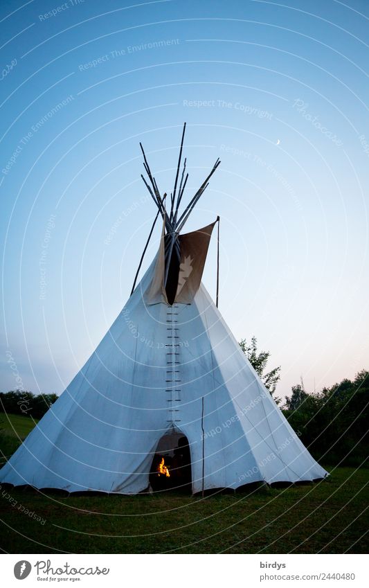 Bewohntes Tipi mit Lagerfeuer in der Abenddämmerung draußen Erholung ruhig Camping Häusliches Leben zelten Wohnzelt Natur Feuer Wolkenloser Himmel Mond Sommer