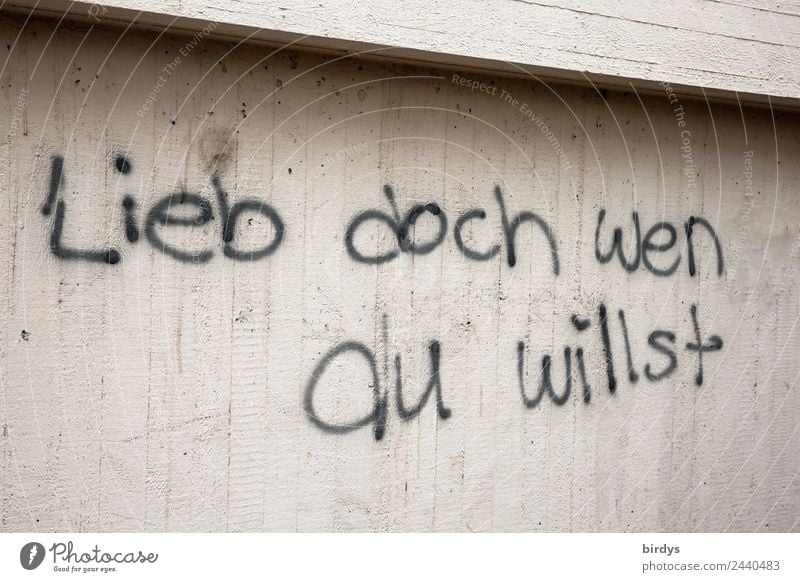 Lieb doch wen du willst. Respekt gegenüber homosexuellen Partnerschaften als normale menschliche Verbindung.. Schriftzug auf einer Betonwand Homosexualität