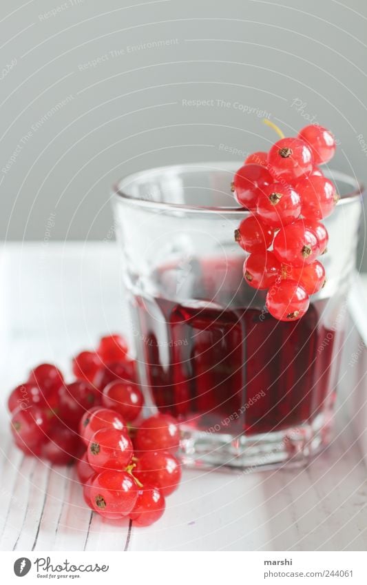 beeriger Saft Lebensmittel Frucht Ernährung Getränk trinken rot Beeren rund klein Glas durstig sauer geschmackvoll Geschmackssinn johannisbeersaft Farbfoto