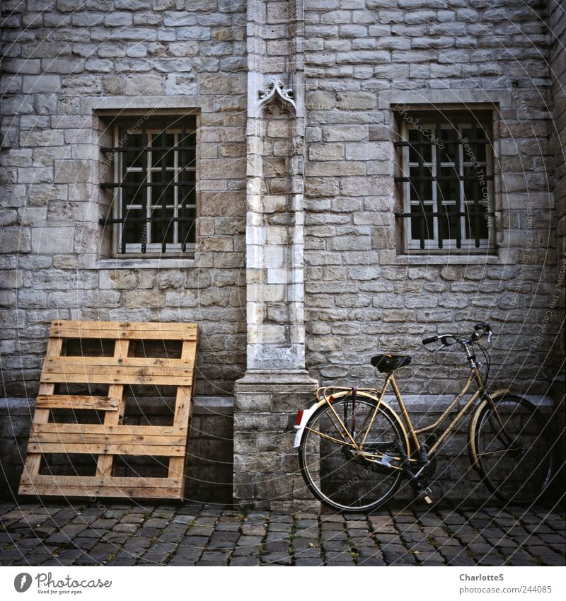 Alles Palette Paletten Fahrrad Schiffsplanken Niederlande Stein Holz Gold Backstein Ornament dunkel historisch grau ästhetisch Nostalgie Verfall Vergänglichkeit