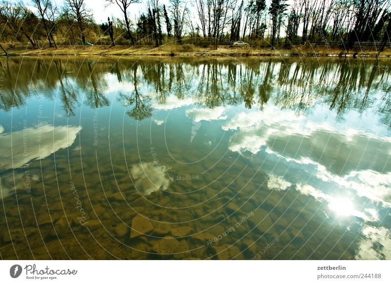 Hohenzollernkanal Umwelt Natur Landschaft Wasser Himmel Wolken Sonne Sonnenlicht Herbst Klima Klimawandel Wetter Schönes Wetter Baum Wellen Küste Seeufer